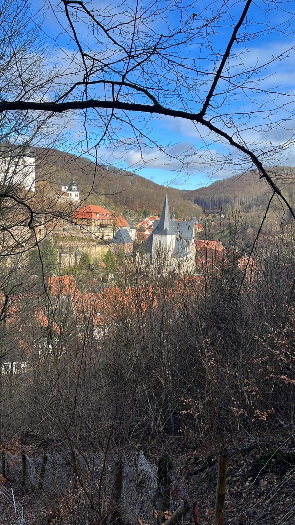 Haus Maxi Villa Stolberg i. Harz Buitenkant foto